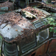 Illustration for article titled Spotted: Rare Volkswagen In The Woods